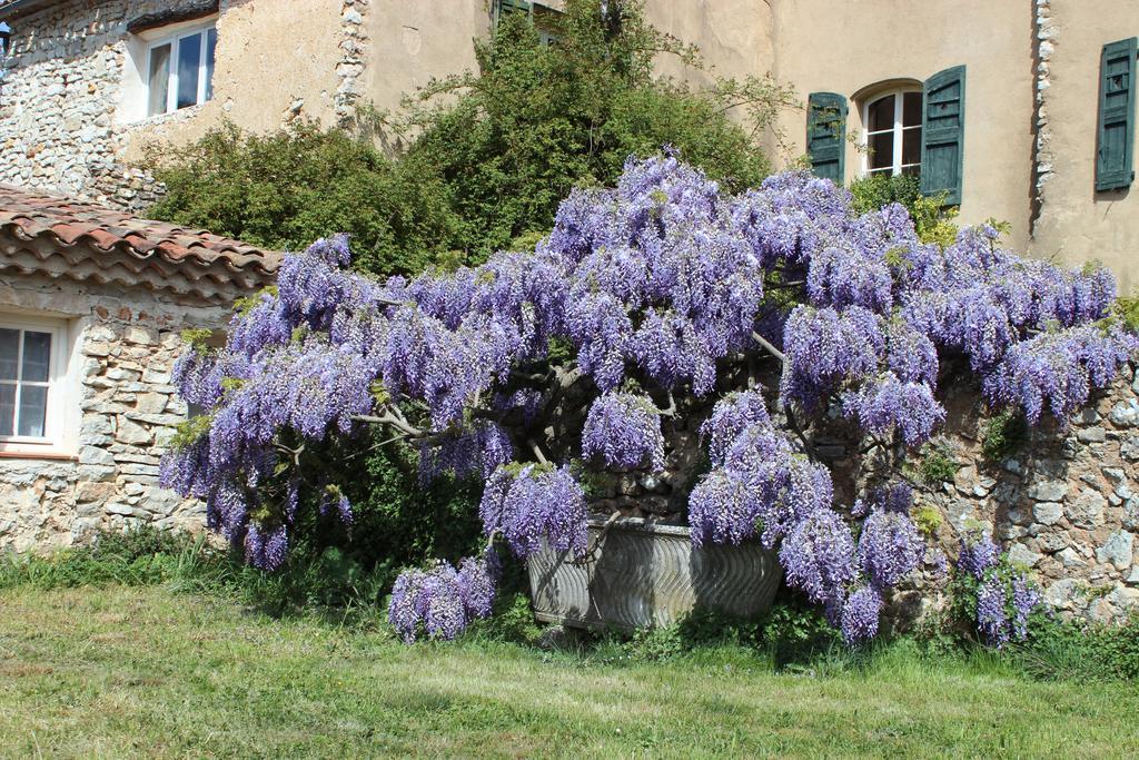 Domaine De La Blaque - B&B Varages 외부 사진